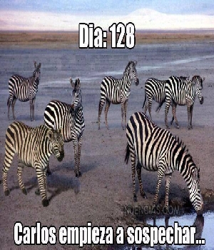 Imagen de Dia 128 Carlos empieza a sospechar