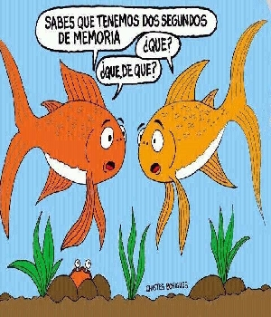 Imagen de Sabes que tenemos dos segundos de memoria