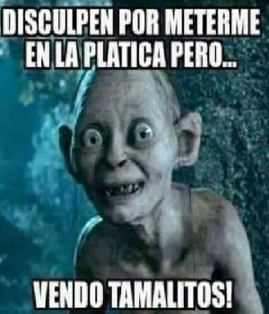 Imagen de Disculpen por meterme pero vendo tamalitos