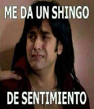 Imagen de Me da un shingo de sentimiento