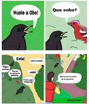 Imagen de Que bonito el cantar de los pajaritos